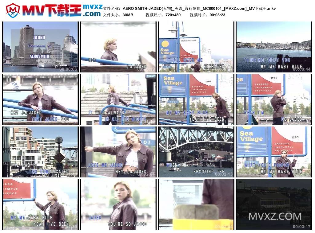 AERO SMITH-JADED(人物)_英语_流行歌曲_MC800101